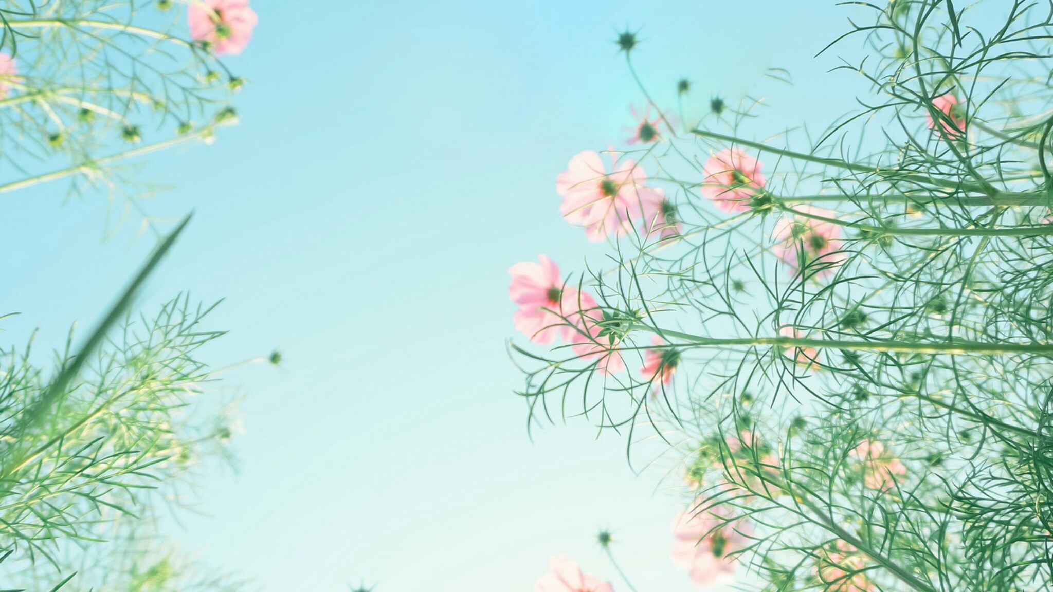 Picsart banner for @shop24