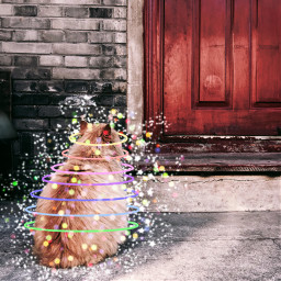 freetoedit cat magic shiny door