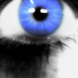 freetoedit blackandwhite color blue eye
