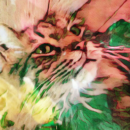 freetoedit cat colorful sweet tabbycat